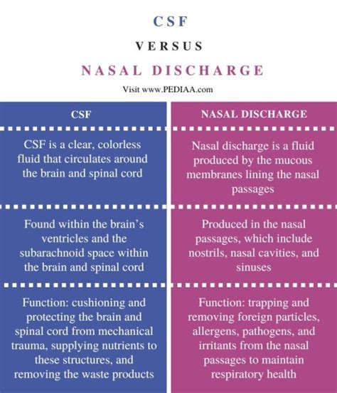 csf vs mucus|What is the Difference Between CSF and Mucus